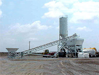 12 Portable Dry Plant